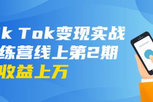 龟课·Tik Tok变现实战训练营线上第2期：日入上百+美刀 月收益上万不成问题