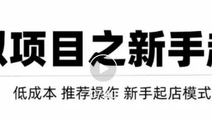 虚拟项目快速起店模式，0成本打造月入几万虚拟店铺！