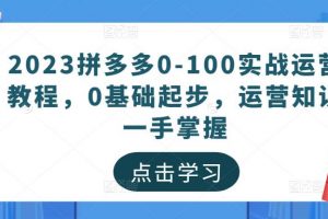 2023拼多多0-100实战运营教程，0基础起步，运营知识一手掌握