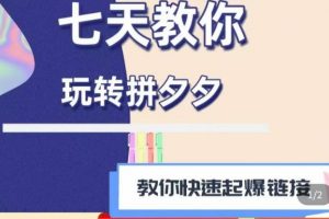 拼多多快速起爆链接思路1.0课程，七天教你玩转拼夕夕，教你快速起爆链接