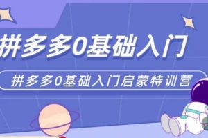 六一电商·拼多多运营0-1实操特训营，拼多多从基础到进阶的可实操玩法