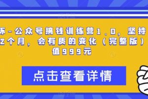 坏坏-公众号搞钱训练营1.0，坚持个1-2个月，会有质的变化（完整版）价值999元