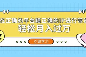 在正确的平台蹭正确的IP进行带货，轻松月入过万