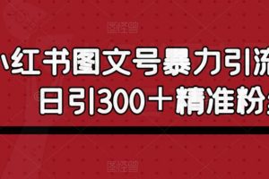 小红书图文号暴力引流4.0，日引300＋精准粉丝【揭秘】