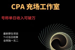 cpa充场工作室，号称单日收入10000+（揭秘）