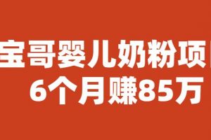 宝哥婴儿奶粉项目，6个月赚85w【图文非视频】【揭秘】