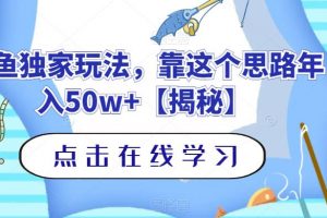 钓鱼独家玩法，靠这个思路年入50w+【揭秘】