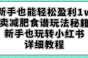 新手也能轻松盈利1w，卖减肥食谱玩法秘籍，新手也玩转小红书详细教程【揭秘】