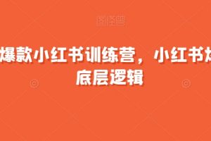 21天爆款小红书训练营，小红书爆款的底层逻辑