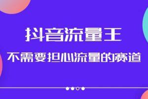 抖音流量王，不需要担心流量的赛道，美女图文音乐号升级玩法（附实操+养号流程）