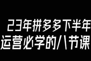 大牙·23年下半年拼多多运营必学的八节课（18节完整）