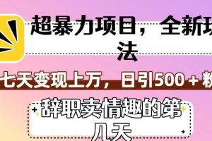 超暴利项目，全新玩法（辞职卖情趣的第几天），七天变现上万，日引500+粉【揭秘】