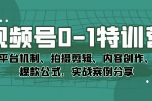 视频号0-1特训营：平台机制、拍摄剪辑、内容创作、爆款公式，实战案例分享