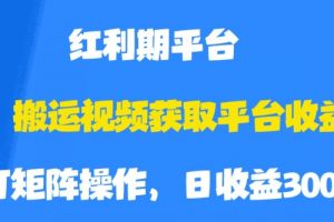 搬运视频获取平台收益，平台红利期，附保姆级教程【揭秘】