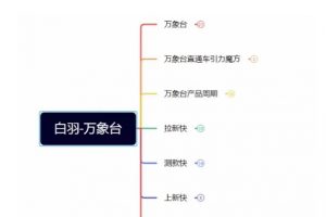 白羽·直引万搜索全篇，从0-1，多个类目实操经验总结付费