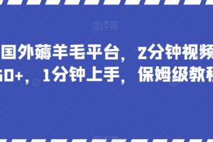 最新国外薅羊毛平台，2分钟视频收益50+，1分钟上手，保姆级教程【揭秘】