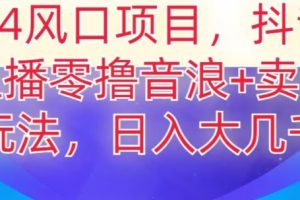 2024风口项目，抖音无人主播撸音浪+卖课程玩法，日入大几千【揭秘】