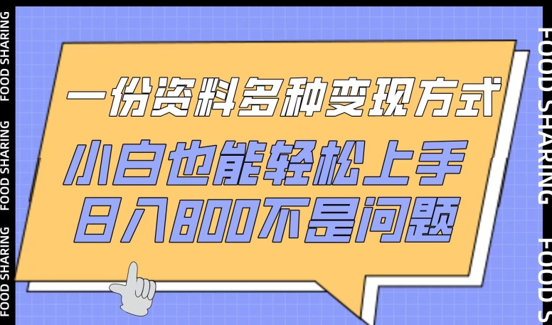 一份资料多种变现方式，小白也能轻松上手，日入800不是问题【揭秘】