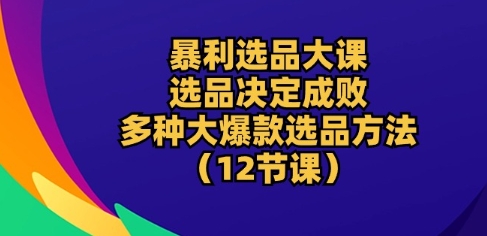 暴利选品大课：选品决定成败，教你多种大爆款选品方法(12节课)