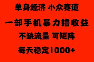 26年暴力单身经济，稳定日入500-1k，不缺流量，流量极大，冷门小众赛道，门槛低小白轻松上手【揭秘】